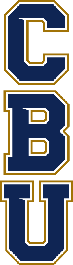 California Baptist Lancers 2017-Pres Wordmark Logo v3 diy iron on heat transfer